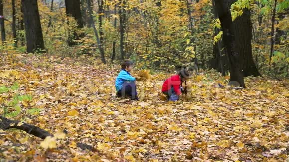 两个孩子收集秋叶视频的预览图