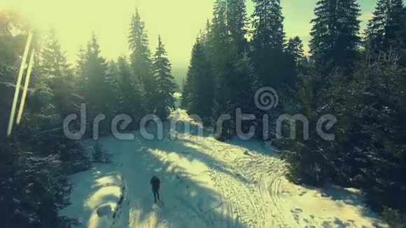 在冬季山林中散步的游客视频的预览图