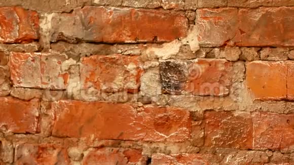 红砖墙背景录像视频的预览图