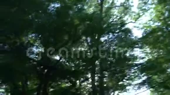 从一辆移动的汽车的窗户看夏天森林中的群山4k慢动作视频的预览图
