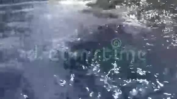 九头蛇按摩按摩浴缸视频的预览图