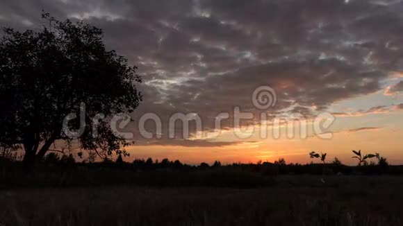 日落过树和花滑翔机射击延时视频的预览图
