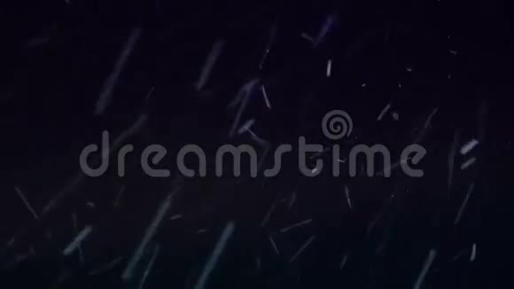 暴风雪视频的预览图