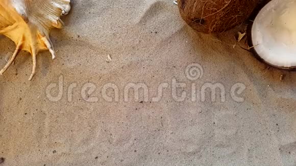 在沙滩上用贝壳和椰子写休息室这个词视频的预览图