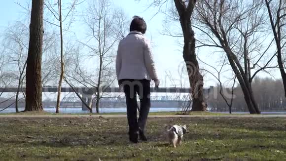 一位老年妇女带着小狗在春天公园散步视频的预览图