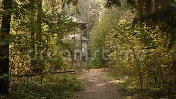 步行到森林中被遗弃的房子秋天的白天光滑的娃娃射击视频的预览图
