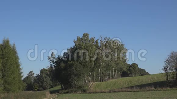 乡村风景蓝天和树木视频的预览图
