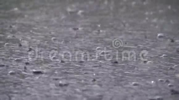 暴雨时大滴的雨落在水坑里水滴在慢运动中视频的预览图