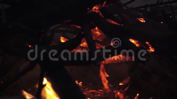 在夜晚燃烧的篝火中点燃木棍视频的预览图