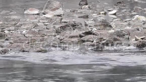 河流背景中的石头视频的预览图