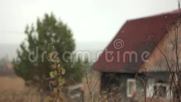 雪落了房子的背景视频的预览图