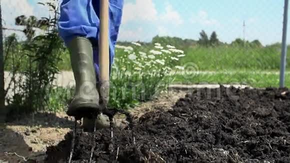 园丁清洁靴满了农家肥视频的预览图