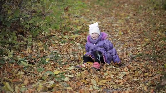小女孩摔倒在秋天公园里哭视频的预览图