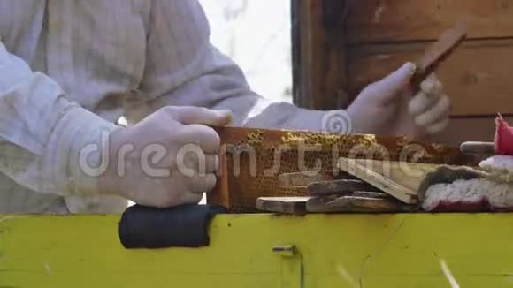 养蜂人把蜂箱里的蜜蜂从蜂巢里拿出来视频的预览图
