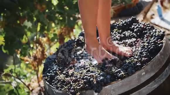 女人的腿踩着木轴上的黑葡萄视频的预览图