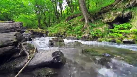 山河流过绿林中的岩石视频的预览图