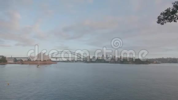 悉尼港的恐慌镜头4K视频的预览图