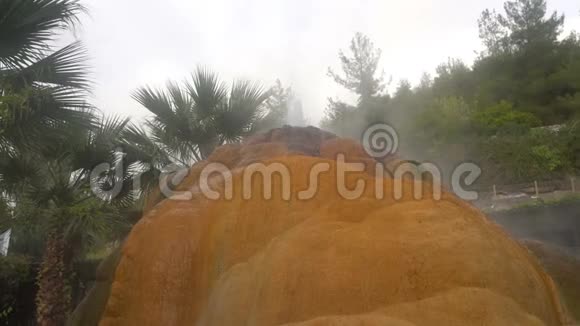 亚拉沃里间歇泉的多彩土壤火鸡视频的预览图
