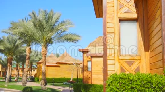 小木屋和高绿棕榈树视频的预览图