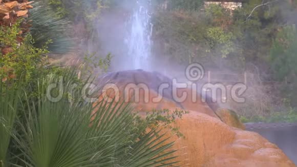 亚拉沃里间歇泉的多彩土壤火鸡视频的预览图