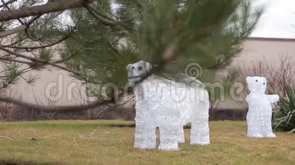 假日熊在院子里视频的预览图