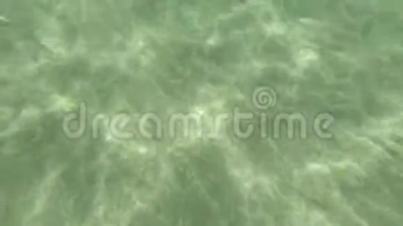 水下海浪波纹和流动海上潜水视频的预览图