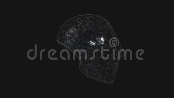 神经元冲动在大脑中的传播带有AlphaMatte的循环动画视频的预览图