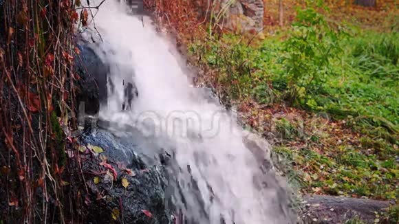 秋天的小瀑布视频的预览图