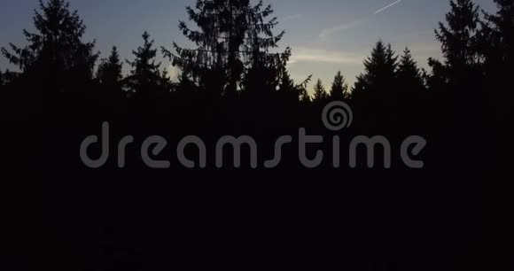 空中无人机拍摄的森林日落视频的预览图
