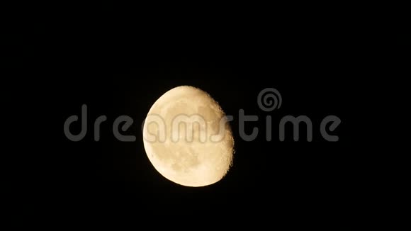 月亮升起实时视频的预览图