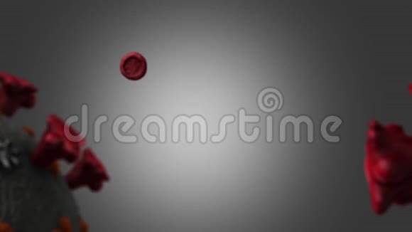 冠状病毒和红细胞放大视频的预览图