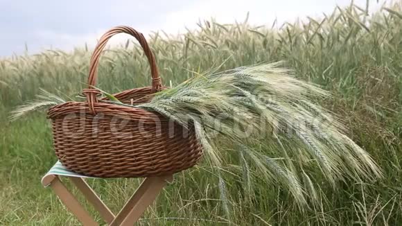 风中玉米地前挂着谷物的篮子视频的预览图