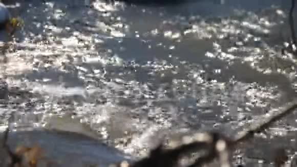 近山河水流湍急视频的预览图