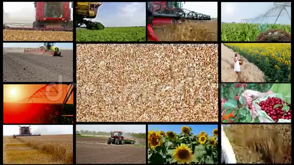 农业多屏幕视频的预览图