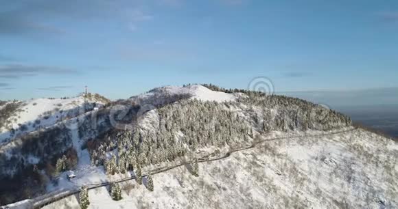 冬季白雪山谷正向俯视森林树林雪山街头小路的建立视频的预览图