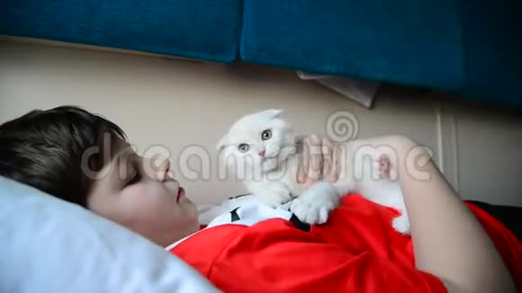 一个男孩在火车上抱着一只麻烦的小猫视频的预览图