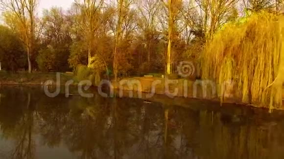 日落时有柳树的湖视频的预览图