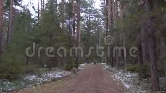 松林里冰冻的肮脏道路视频的预览图