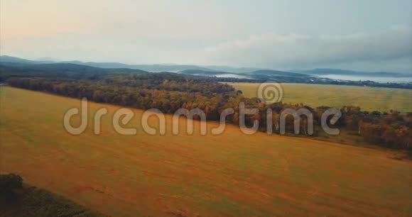 背景上鸟瞰一片茬田和绿林俄罗斯视频的预览图