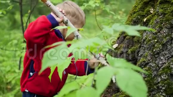 孩子们在秋天公园散步一个男孩站在一棵大树旁手里拿着一根棍子视频的预览图