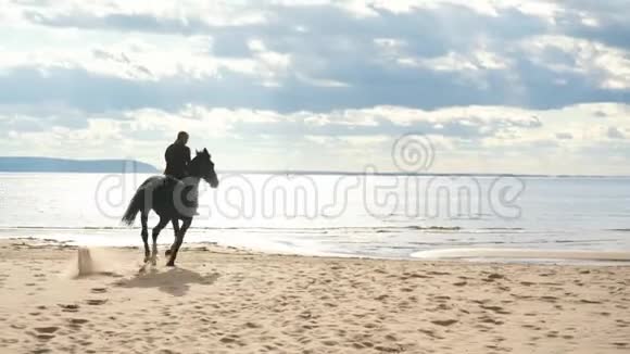 清晨在海滩上骑马的女孩视频的预览图