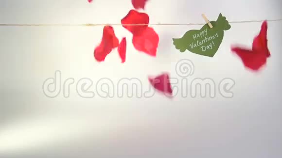 情人节概念绿色的纸心有翅膀和祝贺用绳子上的衣夹和红色的花瓣固定视频的预览图