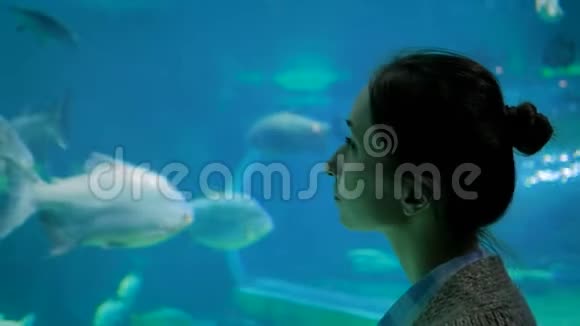 在大型公共鱼缸里看鱼的女人剪影视频的预览图