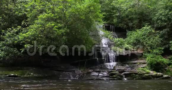 流入河中的森林瀑布视频的预览图