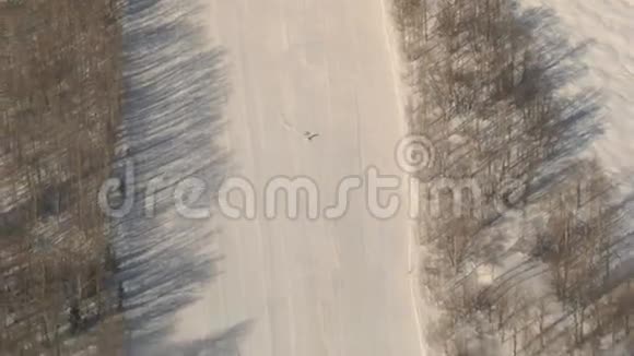滑下雪山视频的预览图
