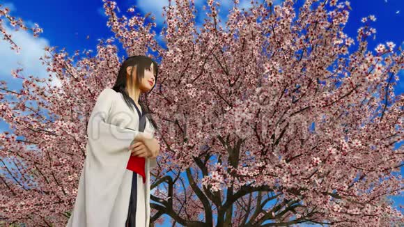 日本和服女孩和盛开的樱花在慢动作视频的预览图