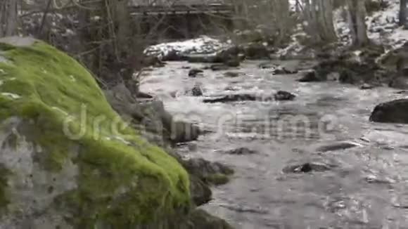 从瑞典的一条小河流出的水流视频的预览图
