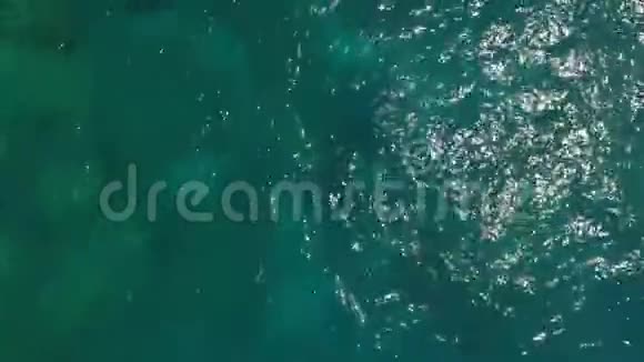 鸟瞰海面绿松石海面视频的预览图