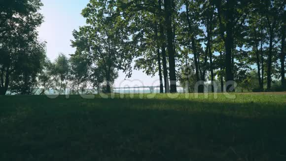 一个运动型男子在公园里跑步侧视视频的预览图