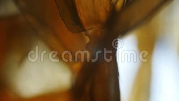 淡水蜈蚣腿下显微镜视频的预览图